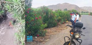 Encuentran cuerpo sin vida a un costado de la carretera Pativilca – Cajatambo